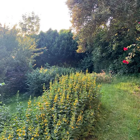 Strandnahe Gartenwohnung An Der Kieler Foerde Apartamento Heikendorf